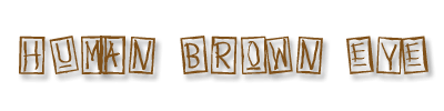 Human Brown Eye
